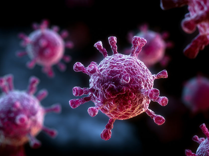 Why Some Influenza Viruses Are More Dangerous Than Others - Comparison of Flu Viruses – an important step for prevention and vaccine development