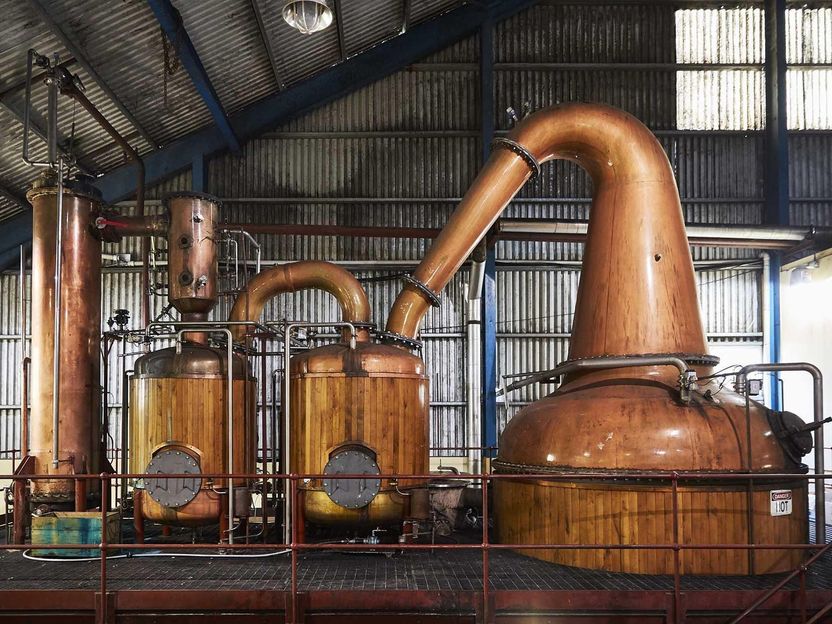 Europas größte Destillerie entsteht in Mecklenburg-Vorpommern - Rum-Geschichte mitschreiben: Beteiligung über Crowdfunding möglich