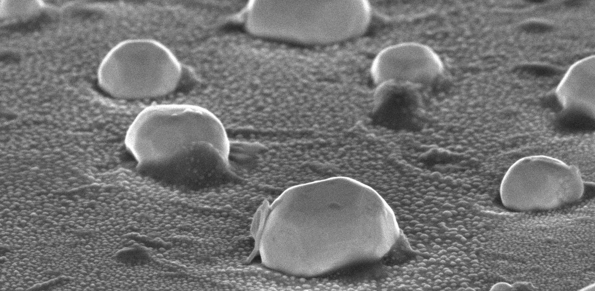 Nanocatalizzatori metallici: cosa succede davvero durante la catalisi