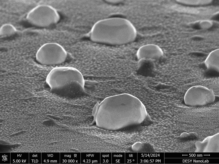 © Arno Jeromin, DESY NanoLab