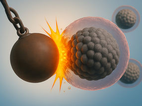 Nanocorpos contra o cancro: uma bola de demolição contra as células tumorais?
