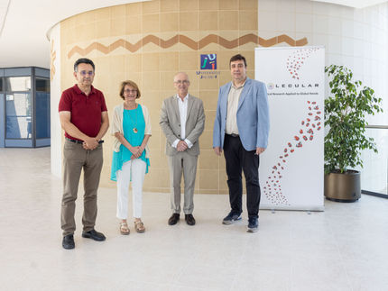 Una startup spagnola riceve un investimento per un nuovo metodo di disinfezione contro il "fungo killer"