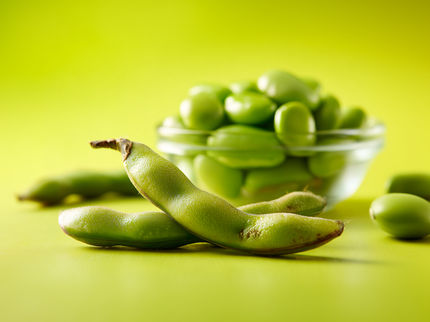 La empresa canadiense Phytokana desarrolla nuevos ingredientes a base de habas
