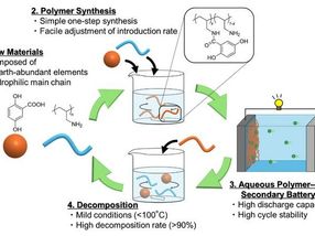 Un nouveau polymère organique ouvre la voie à des batteries recyclables à base d'eau