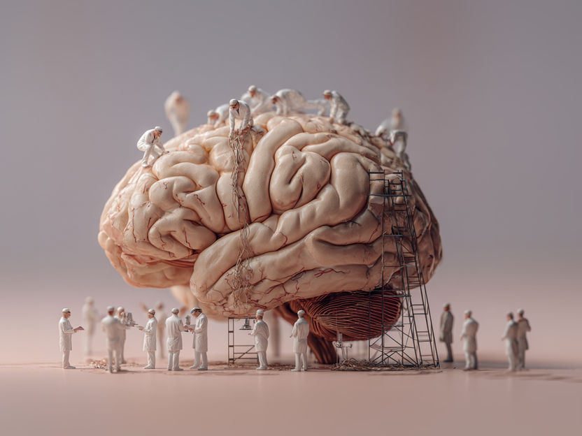 Las células madre reparan el cerebro de ratones tras un infarto - Un hito en el tratamiento de los trastornos cerebrales