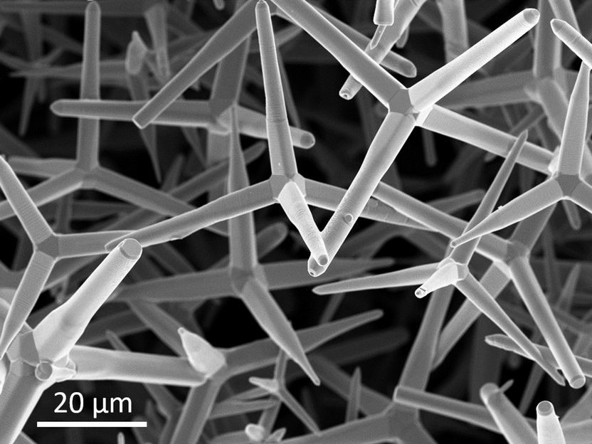 © Funktionale Nanomaterialien, Dr. Florian Rasch