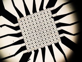 Plastic nerve cells become more advanced – and simpler
