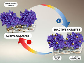 Behind the scenes of ammonia synthesis