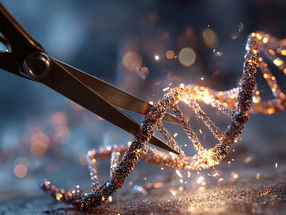Un nuevo método CRISPR permite comprender mejor las funciones celulares