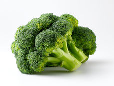 Cornell s'associe à un hybride de brocoli conçu pour les climats froids