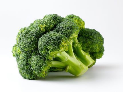 Cornell s'associe à un hybride de brocoli conçu pour les climats froids