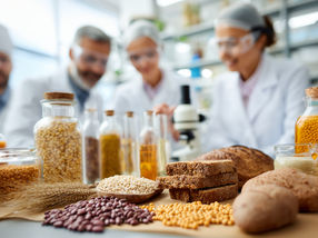 Gesund, regional, lecker: FoodLab startet an der MLU