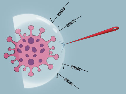 Alteración de la gestión del estrés en las células cancerosas
