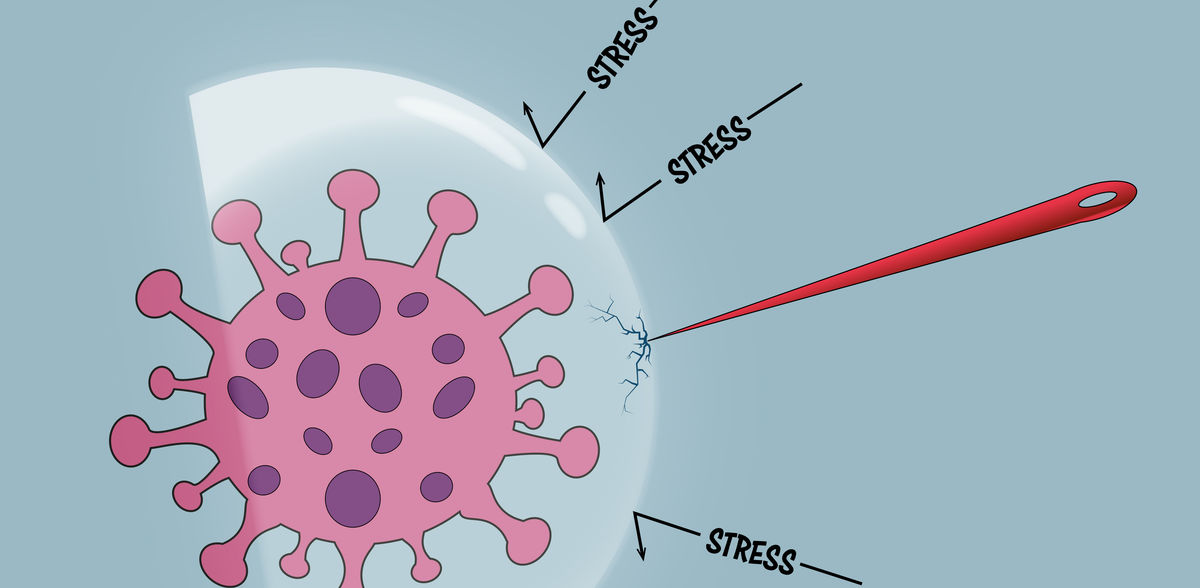 MPI of Molecular Physiology