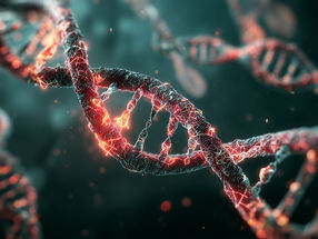 Cómo descifrar más fácilmente el ADN