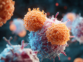 Killer cells: How the immune system selects its defense troops