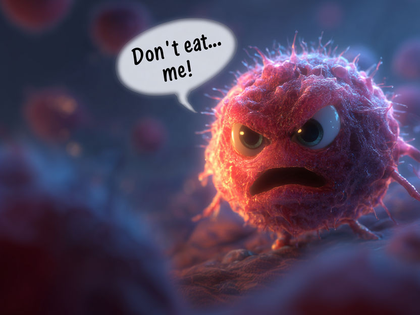 „Don't eat me”-Signale sind Überlebenstrick schädlicher T-Zellen nach Stammzelltransplantation - Blockade von CD47 schützt vor Transplantat-gegen-Wirt-Reaktion (GvHD) nach allogener Stammzelltransplantation