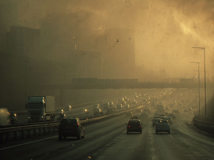 L'inquinamento atmosferico può contribuire a obesità e diabete - Gli inquinanti atmosferici fini disturbano la normale funzione del grasso bruno