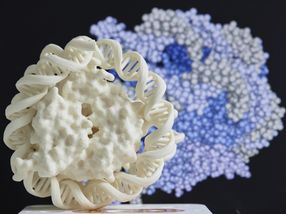 Next-Generation-Sequencing-basierte Diagnostik zur Identifizierung von Sepsis-Erregern erhält EARTO Innovation Award