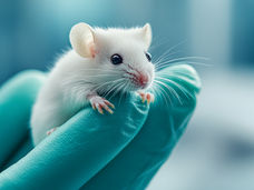 Checkpoint-Inhibitor fördert Reparatur von Gewebe
