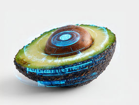 Smartphone-gestützte KI sagt den Reifegrad von Avocados voraus