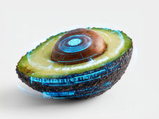 L'intelligenza artificiale alimentata da smartphone prevede la maturazione degli avocado