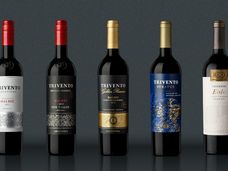 Eggers & Franke si aggiudica Concha y Toro e ne assume la distribuzione a partire da gennaio 2026