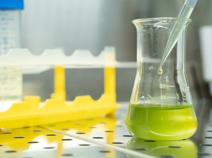 As microalgas convertem o CO₂ em produtos químicos básicos úteis
