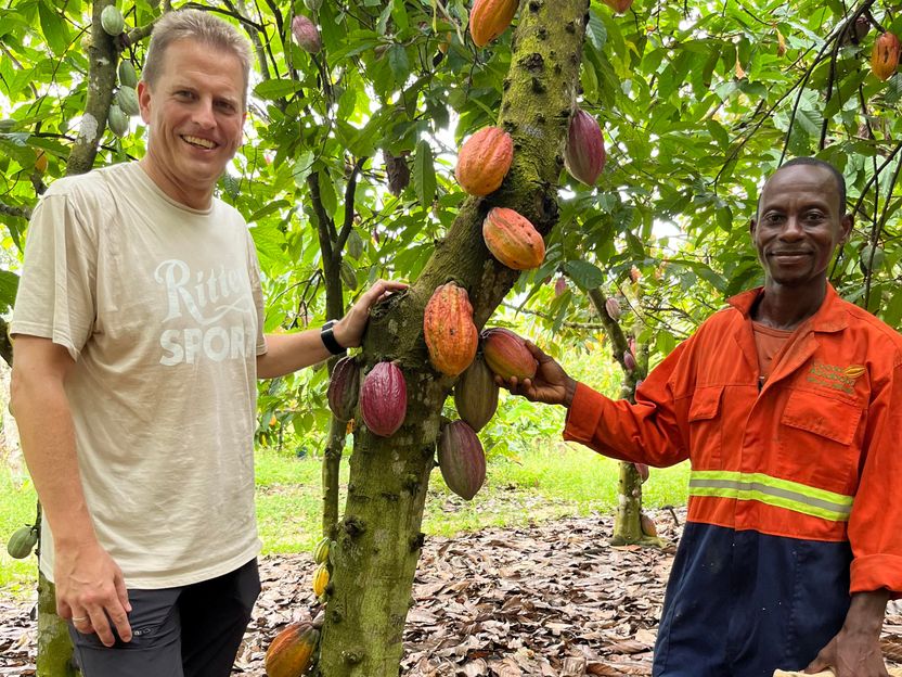 Métodos de cultivo sostenibles para una mayor resistencia - Ritter publica su último informe sobre el abastecimiento de cacao