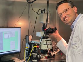 Fighting Alzheimer's with the immune system?