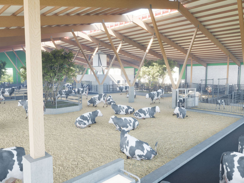 Cows with freedom of choice - "Dairy barn of the future" now published scientifically