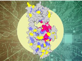 AI method reduces protein analysis from years to a week
