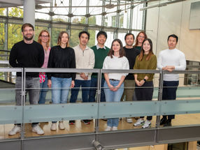 False alarm in the kidney: How a tiny RNA molecule in the kidney triggers a deadly autoimmune disease