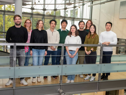 Falso alarme no rim: como uma pequena molécula de ARN no rim desencadeia uma doença autoimune mortal