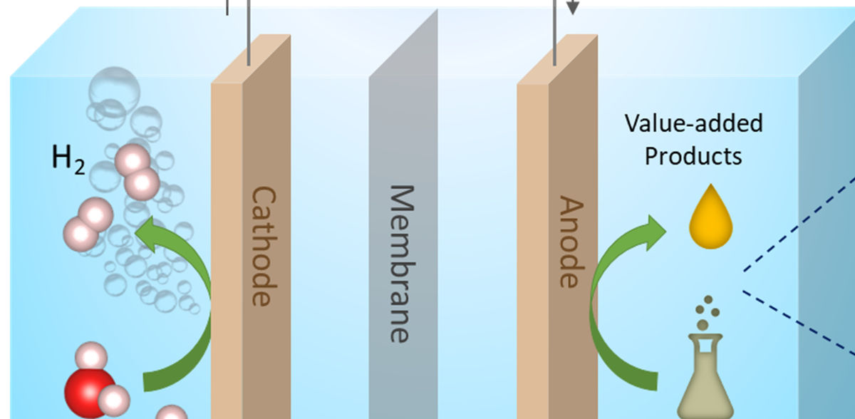Electrocatalysis with dual functionality