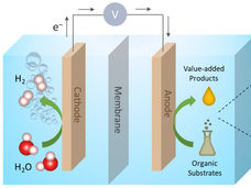 Elettrocatalisi con doppia funzionalità