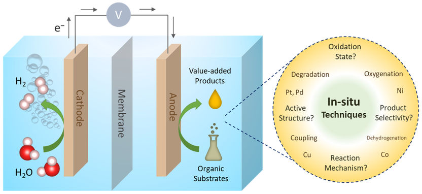 © Debabrata Bagchi / HZB