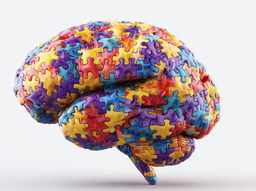 Una nueva técnica mejora la detección del estado cerebral - Un nuevo método aumenta la precisión de una clasificación no invasiva del estado cerebral con espectroscopia funcional del infrarrojo cercano (fNIRS)