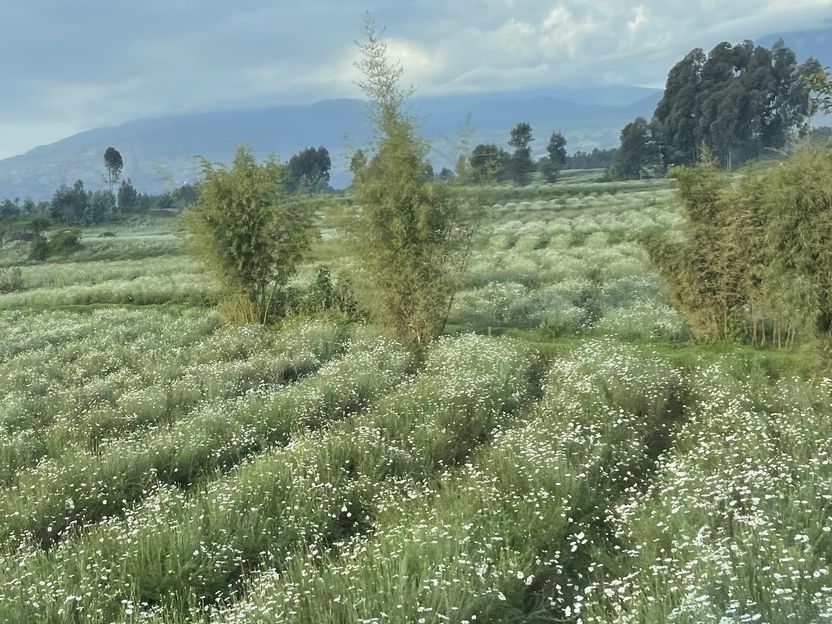 Copyright: Martha Maria Carolina Wilken