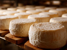 Cinq moyens scientifiques pour rendre la production de fromage plus écologique