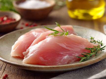 Antimicrobial peptides can reduce salmonella in chickens