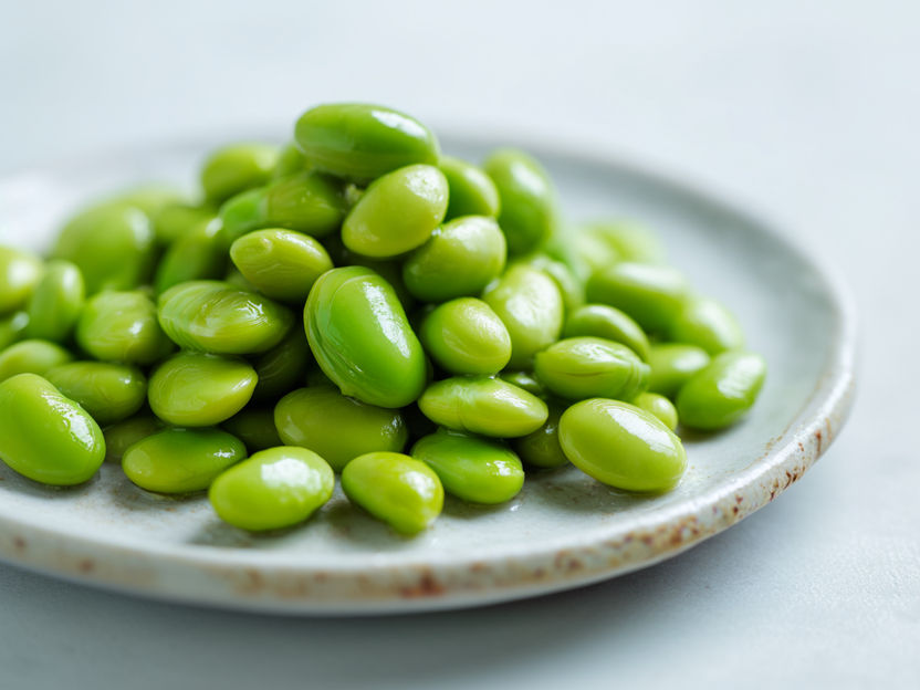 Year-Round Edamame: Hydroponic LED Plant Factories Redefine Sustainable Cultivation - This world-first success demonstrates that “growing delicious edamame anytime, anywhere” is no longer just an ambitious idea but an achievable reality