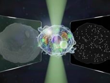 Il "Grande Microscopio Unificato" è in grado di vedere strutture sia su micro che su nanoscala