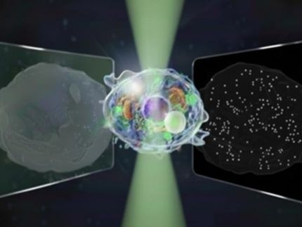 Il "Grande Microscopio Unificato" è in grado di vedere strutture sia su micro che su nanoscala