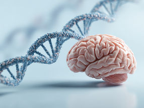 Rare genetic variants increase the risk of ADHD by up to 15 times