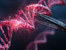 Tijeras genéticas en modo camuflaje ayudan en la búsqueda de terapias contra el cáncer