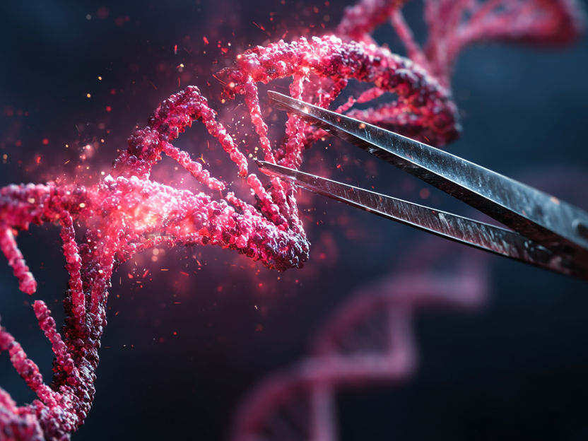 Tesouras de genes em modo de camuflagem ajudam na procura de terapias contra o cancro - Descobertos genes negligenciados para a formação de metástases
