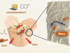 ¿Hasta qué punto son permeables los envases de papel para alimentos?