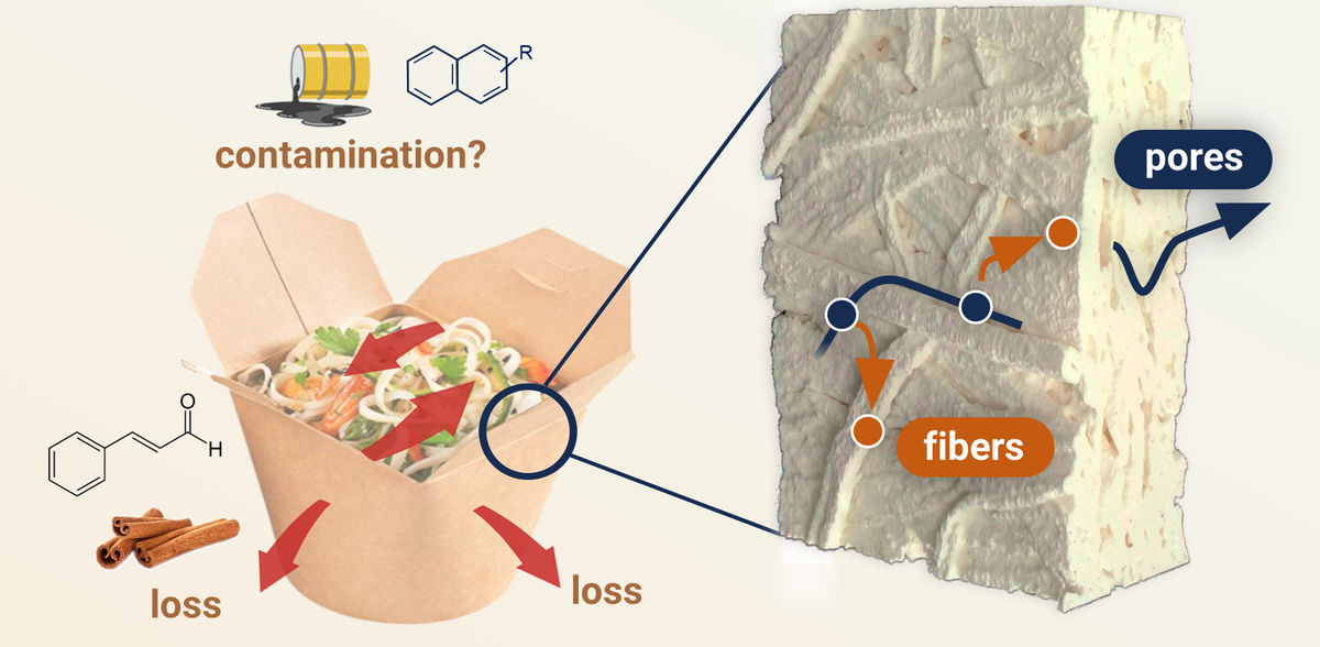 Institute of Solid State Physics - TU Graz