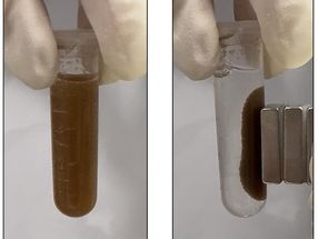Des "pilules" de bactéries pourraient détecter les maladies intestinales - sans endoscope